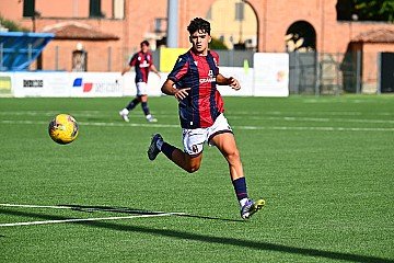 Press Release cover image