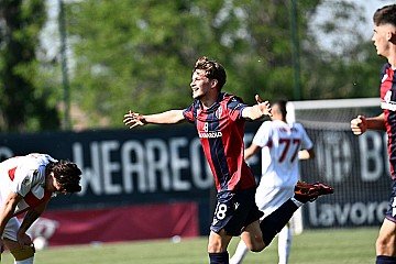 Press Release cover image