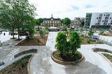 Press Release cover image