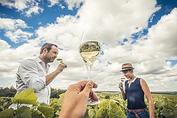 Press Release cover image