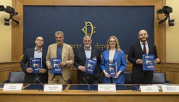 Press Release cover image