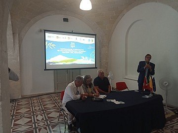 Press Release cover image